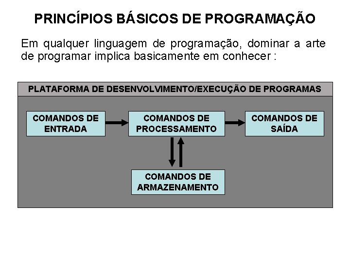 PRINCÍPIOS BÁSICOS DE PROGRAMAÇÃO Em qualquer linguagem de programação, dominar a arte de programar