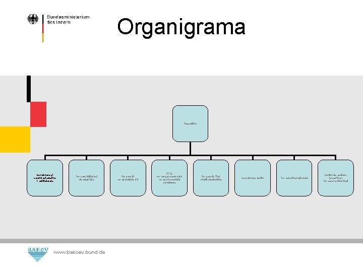 Organigrama Preşedinte Coordonare şi sarcini exhaustive / multilaterale Formare iniţială şi de adaptaţie www.