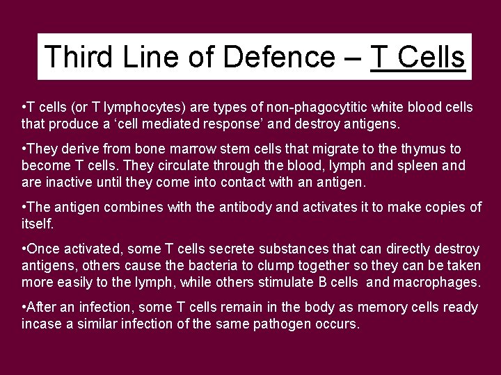 Third Line of Defence – T Cells • T cells (or T lymphocytes) are