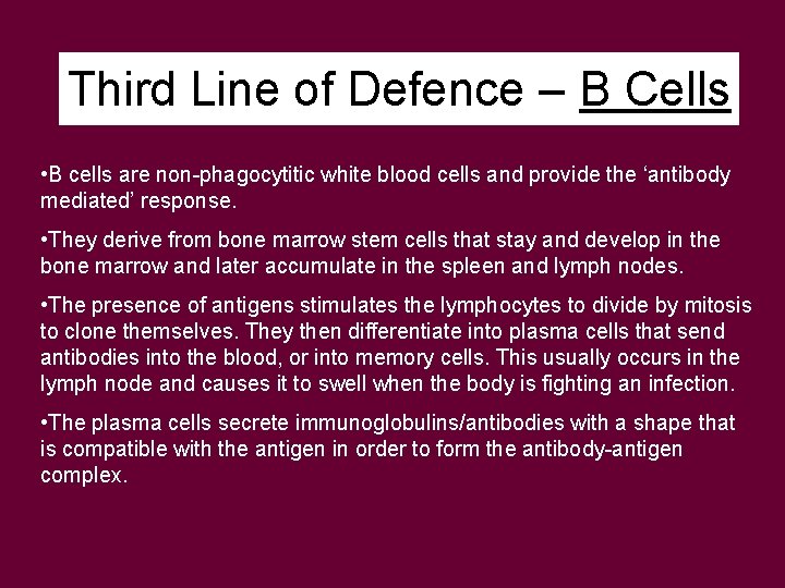 Third Line of Defence – B Cells • B cells are non-phagocytitic white blood