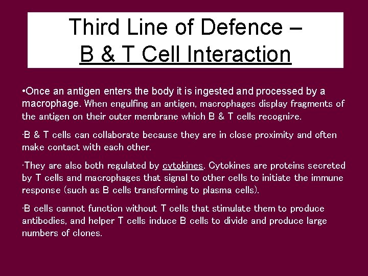 Third Line of Defence – B & T Cell Interaction • Once an antigen