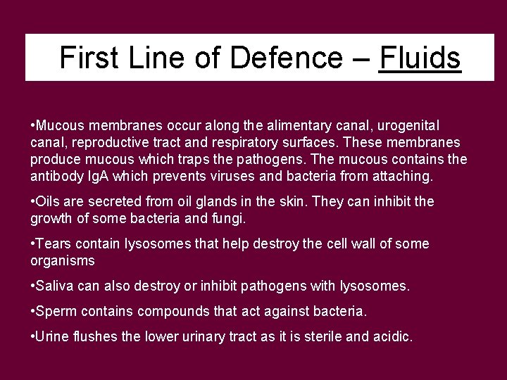 First Line of Defence – Fluids • Mucous membranes occur along the alimentary canal,