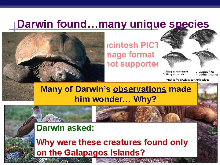 Darwin found…many unique species Many of Darwin’s observations made him wonder… Why? Darwin asked: