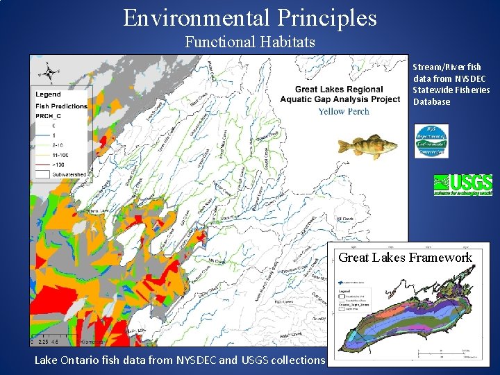 Environmental Principles Functional Habitats Stream/River fish data from NYSDEC Statewide Fisheries Database Great Lakes