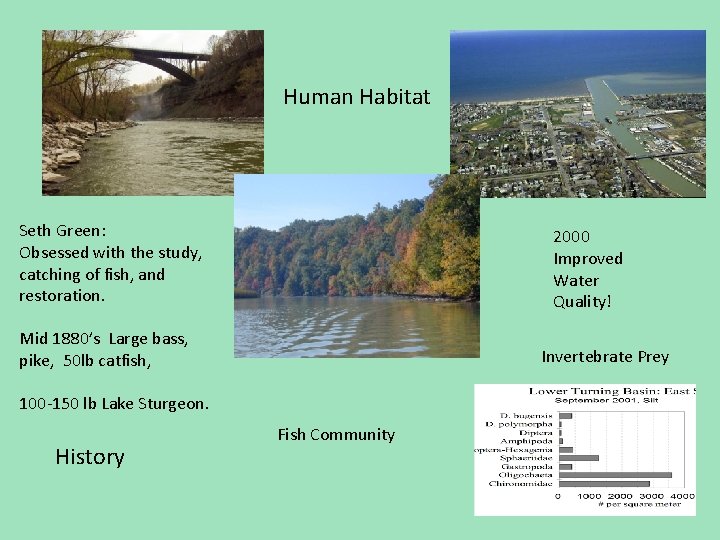 Human Habitat Seth Green: Obsessed with the study, catching of fish, and restoration. 2000