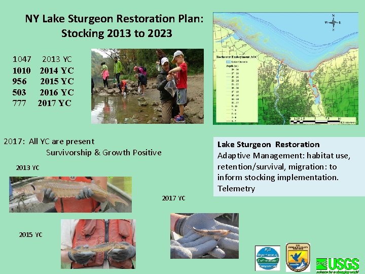 NY Lake Sturgeon Restoration Plan: Stocking 2013 to 2023 1047 1010 956 503 777