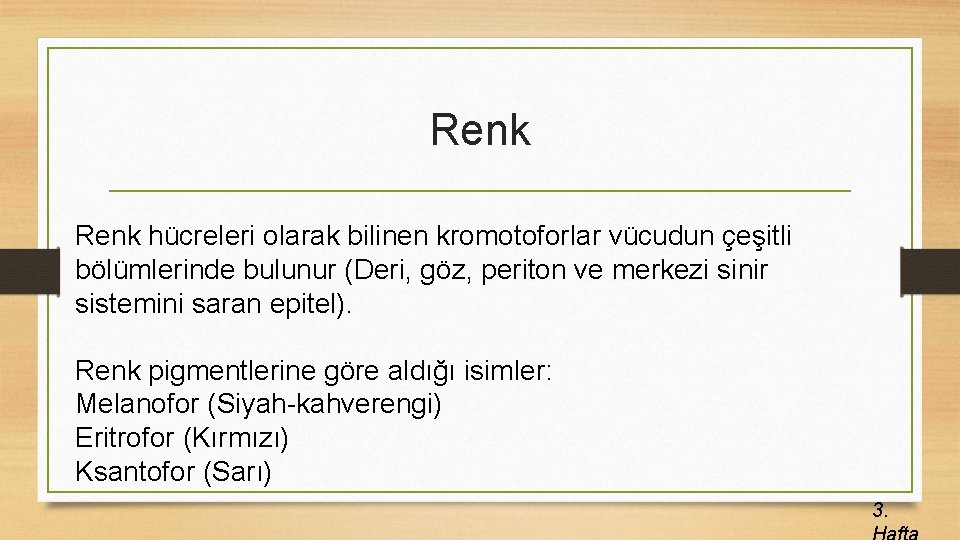 Renk hücreleri olarak bilinen kromotoforlar vücudun çeşitli bölümlerinde bulunur (Deri, göz, periton ve merkezi