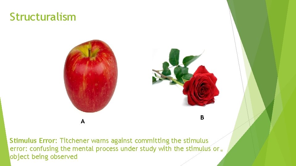 Structuralism A B Stimulus Error: Titchener warns against committing the stimulus error: confusing the