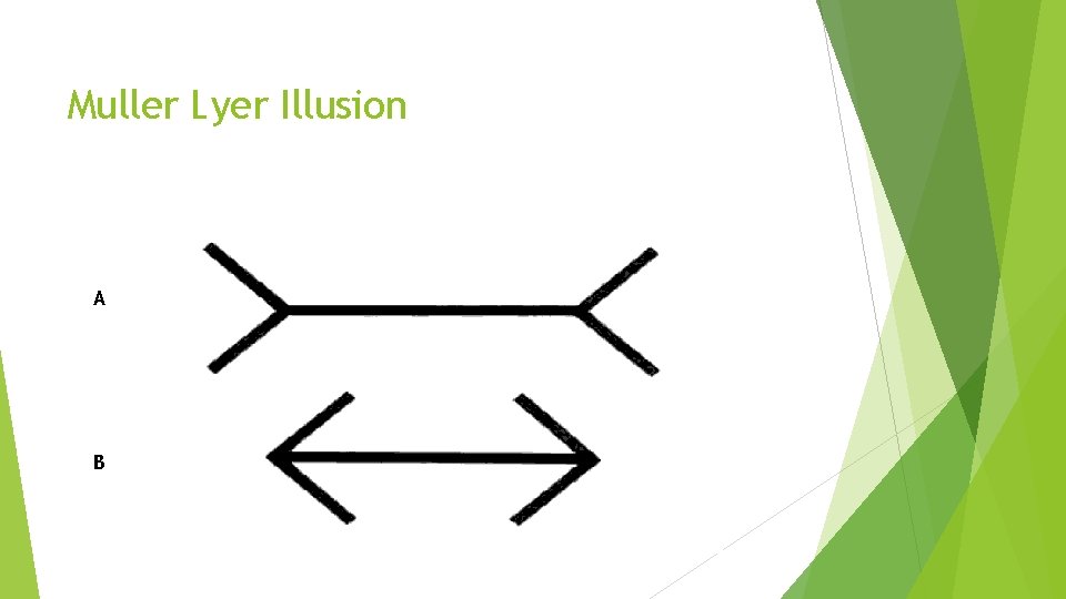 Muller Lyer Illusion A B 