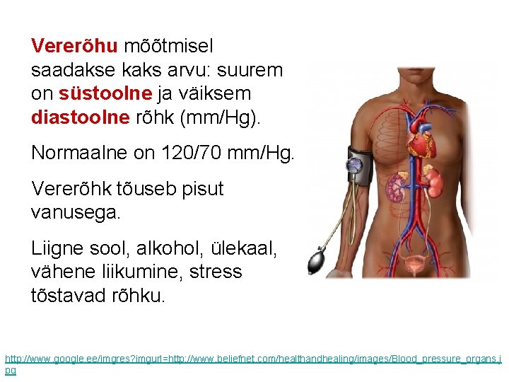 Vererõhu mõõtmisel saadakse kaks arvu: suurem on süstoolne ja väiksem diastoolne rõhk (mm/Hg). Normaalne