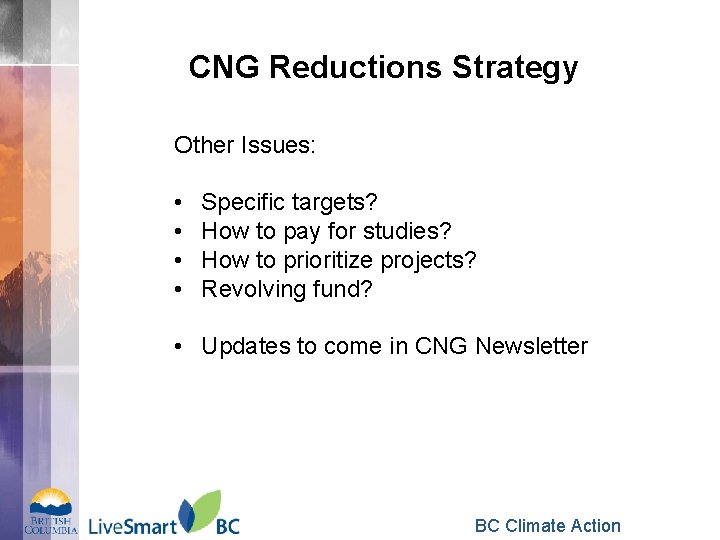 CNG Reductions Strategy Other Issues: • • Specific targets? How to pay for studies?