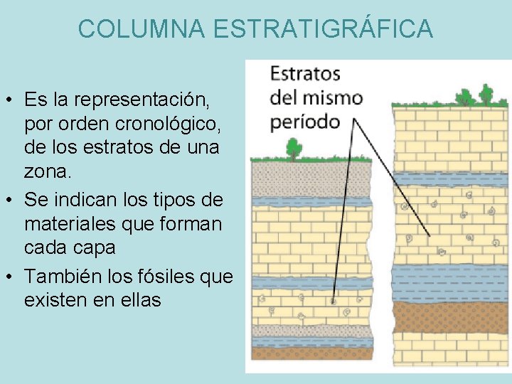 COLUMNA ESTRATIGRÁFICA • Es la representación, por orden cronológico, de los estratos de una