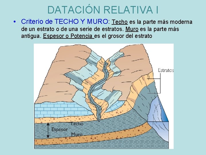 DATACIÓN RELATIVA I • Criterio de TECHO Y MURO: Techo es la parte más
