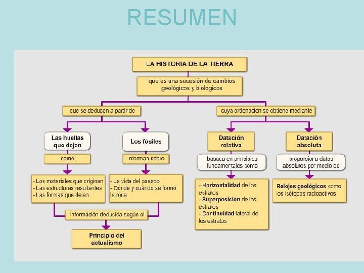 RESUMEN 