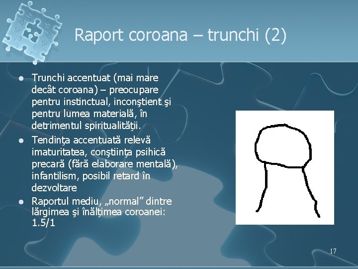 Raport coroana – trunchi (2) l l l Trunchi accentuat (mai mare decât coroana)