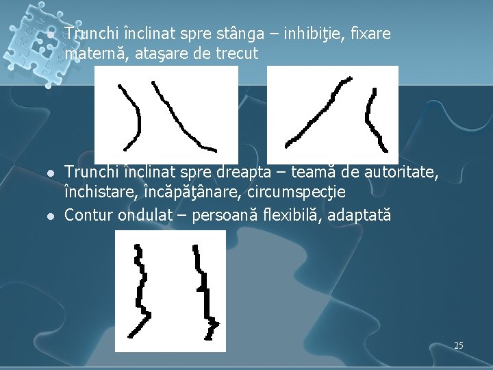 l Trunchi înclinat spre stânga – inhibiţie, fixare maternă, ataşare de trecut l Trunchi