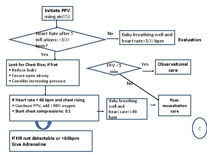 Initiate PPV using air/O 2 Heart Rate after 5 infl ations: <100 bpm? No