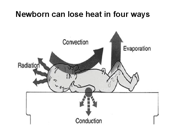 Newborn can lose heat in four ways 