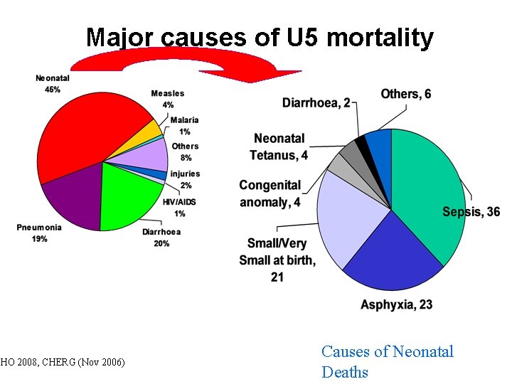 Major causes of U 5 mortality WHO 2008, CHERG (Nov 2006) Causes of Neonatal