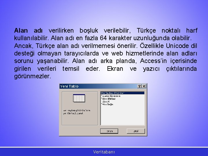 Alan adı verilirken boşluk verilebilir, Türkçe noktalı harf kullanılabilir. Alan adı en fazla 64