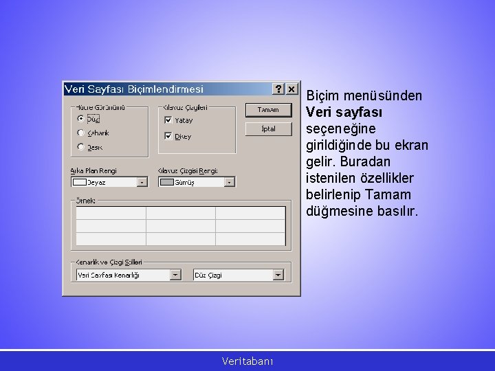 Biçim menüsünden Veri sayfası seçeneğine girildiğinde bu ekran gelir. Buradan istenilen özellikler belirlenip Tamam