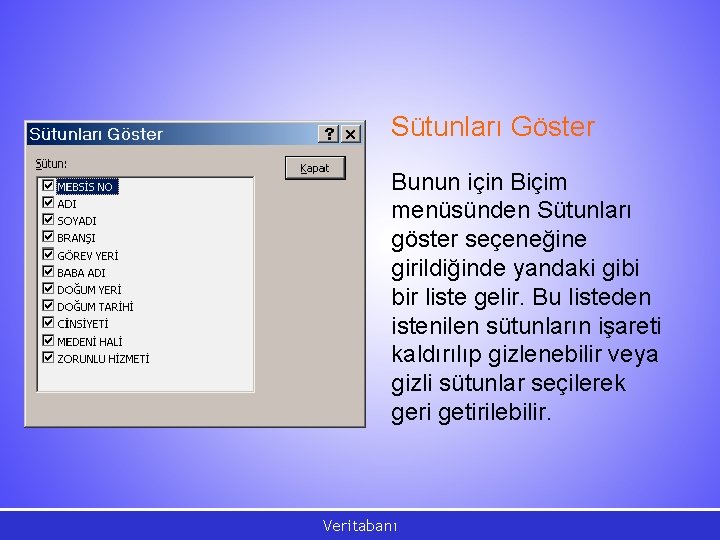 Sütunları Göster Bunun için Biçim menüsünden Sütunları göster seçeneğine girildiğinde yandaki gibi bir liste