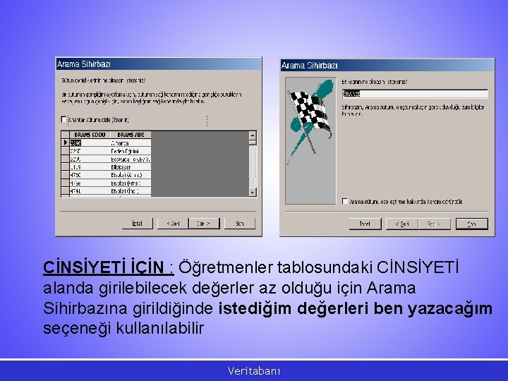 CİNSİYETİ İÇİN : Öğretmenler tablosundaki CİNSİYETİ alanda girilebilecek değerler az olduğu için Arama Sihirbazına