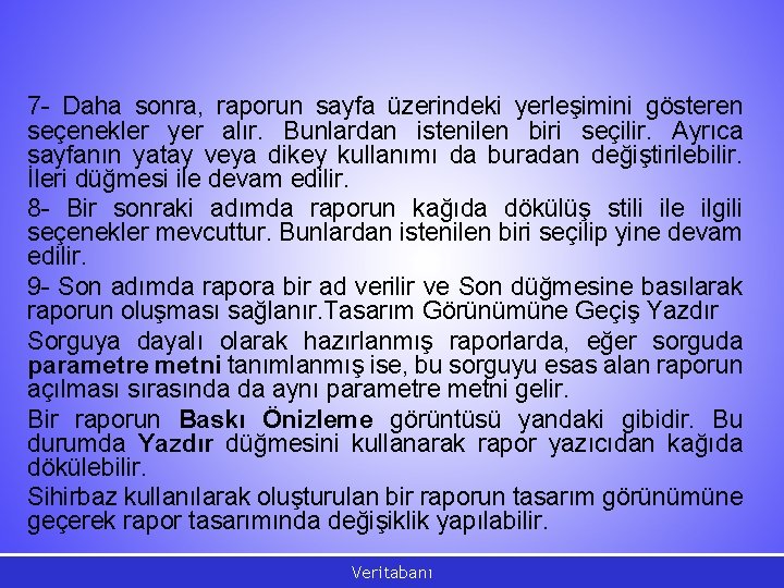 7 - Daha sonra, raporun sayfa üzerindeki yerleşimini gösteren seçenekler yer alır. Bunlardan istenilen