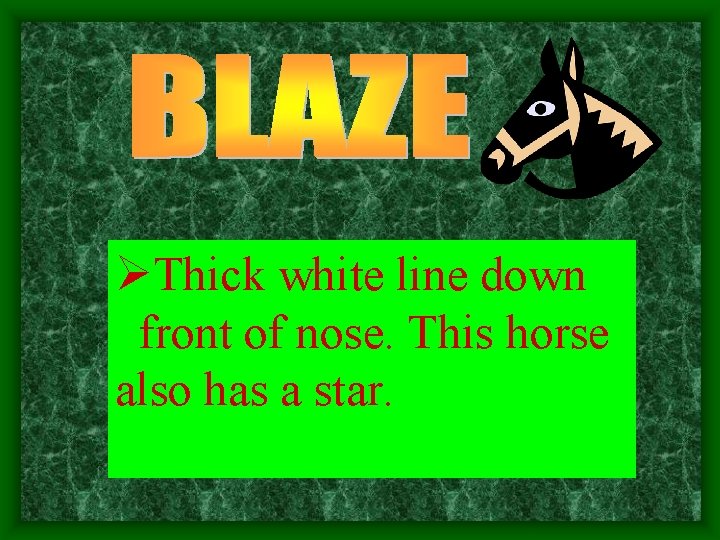 ØThick white line down front of nose. This horse also has a star. 