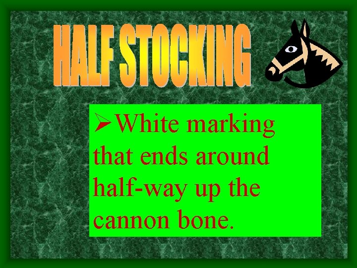 ØWhite marking that ends around half-way up the cannon bone. 