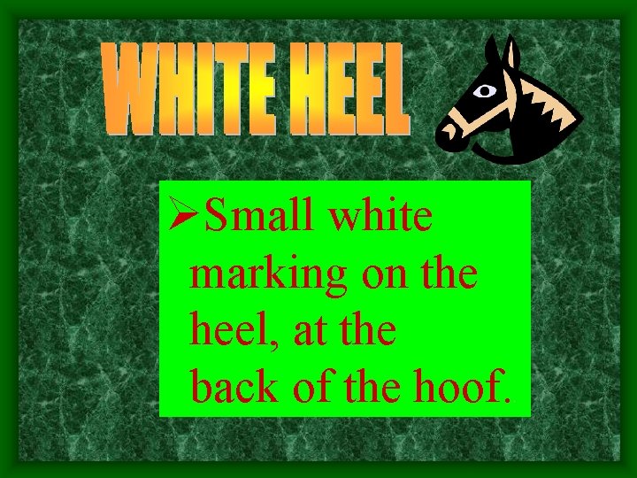 ØSmall white marking on the heel, at the back of the hoof. . 