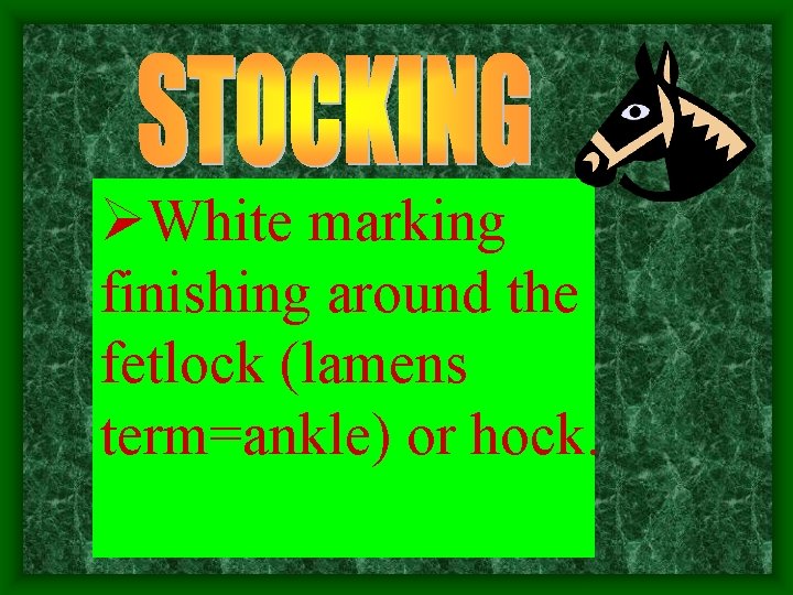 ØWhite marking finishing around the fetlock (lamens term=ankle) or hock. 