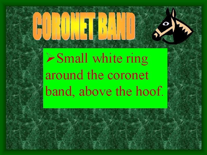 ØSmall white ring around the coronet band, above the hoof. 