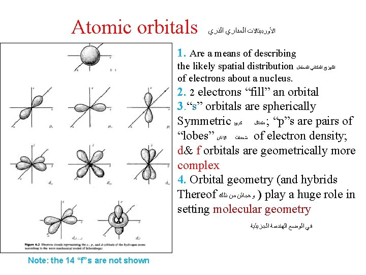 Atomic orbitals ﺍﻷﻮﺭﺑﻴﺘﺎﻻﺕ ﺍﻟﻤﺪﺍﺭﻱ ﺍﻟﺬﺭﻱ 1. Are a means of describing the likely spatial