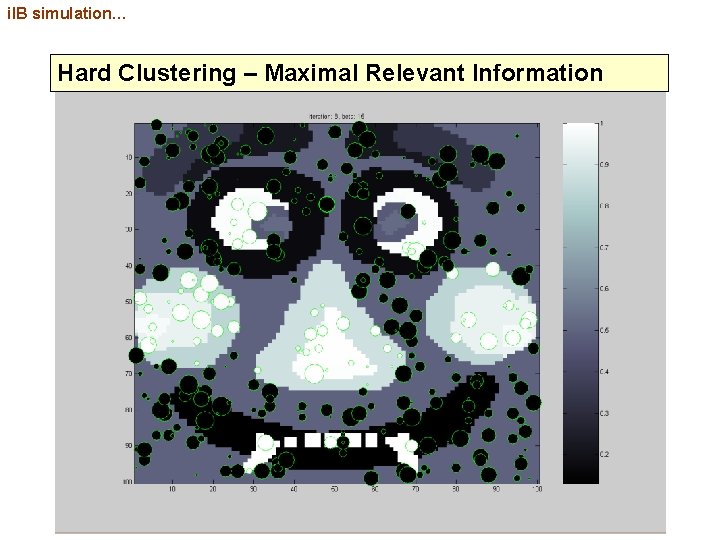 i. IB simulation… Hard Clustering – Maximal Relevant Information 