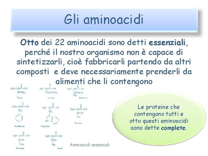 Gli aminoacidi Otto dei 22 aminoacidi sono detti essenziali, perché il nostro organismo non