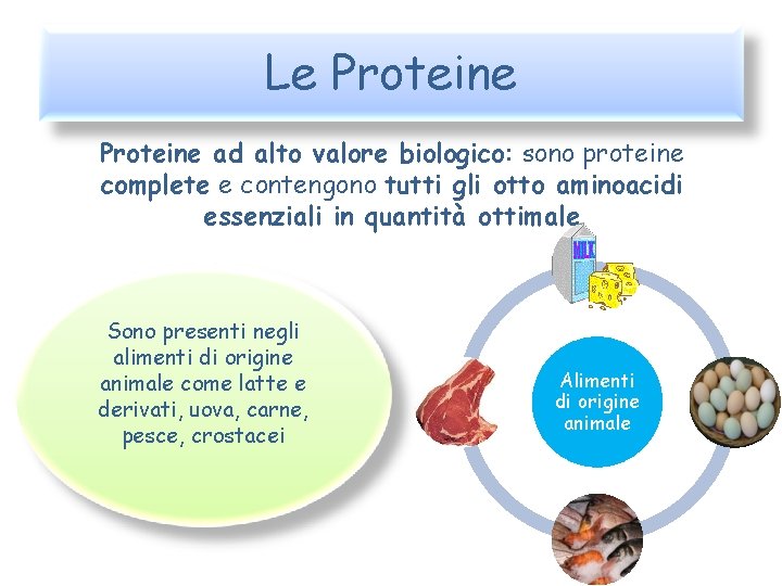 Le Proteine ad alto valore biologico: sono proteine complete e contengono tutti gli otto