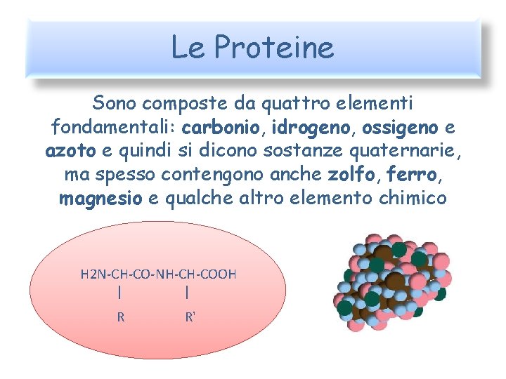 Le Proteine Sono composte da quattro elementi fondamentali: carbonio, idrogeno, ossigeno e azoto e