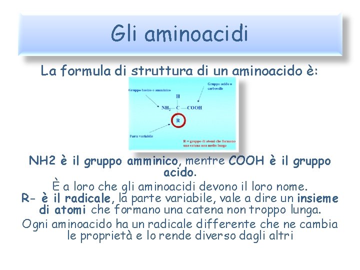 Gli aminoacidi La formula di struttura di un aminoacido è: NH 2 è il