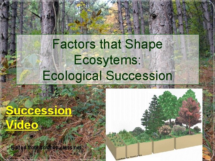 Factors that Shape Ecosytems: Ecological Succession Video Edited from science-class. net 