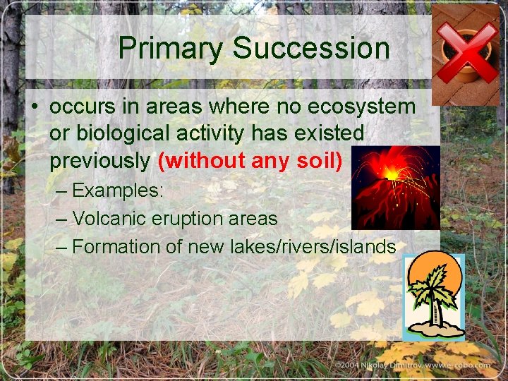 Primary Succession • occurs in areas where no ecosystem or biological activity has existed