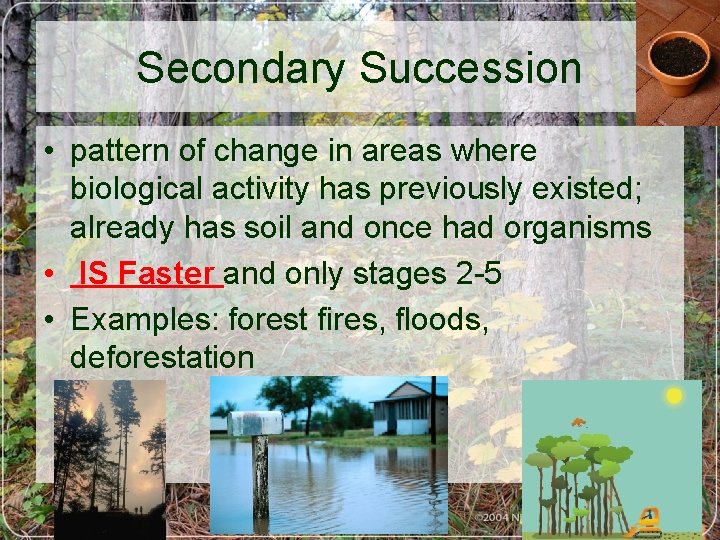 Secondary Succession • pattern of change in areas where biological activity has previously existed;