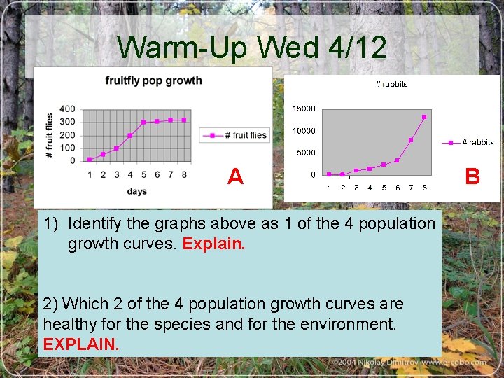 Warm-Up Wed 4/12 A 1) Identify the graphs above as 1 of the 4
