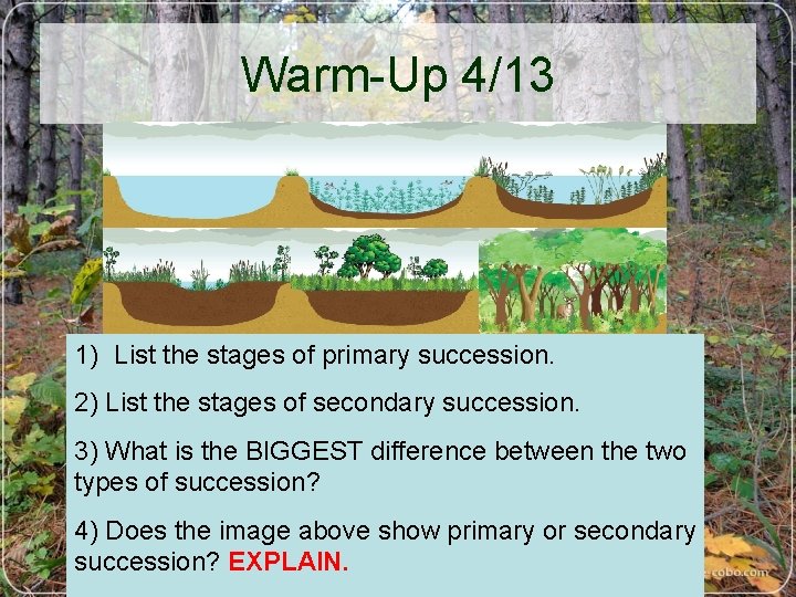 Warm-Up 4/13 1) List the stages of primary succession. 2) List the stages of