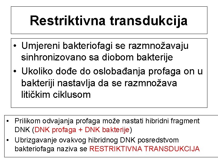 Restriktivna transdukcija • Umjereni bakteriofagi se razmnožavaju sinhronizovano sa diobom bakterije • Ukoliko dođe