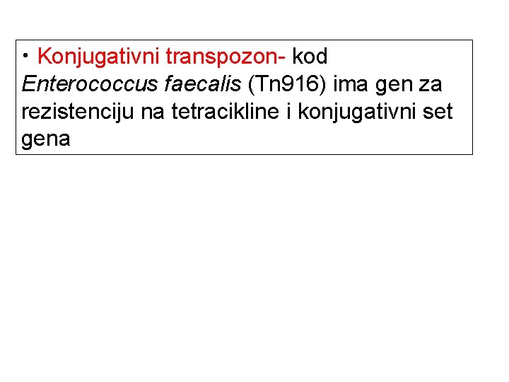  • Konjugativni transpozon- kod Enterococcus faecalis (Tn 916) ima gen za rezistenciju na