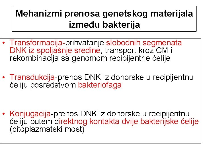 Mehanizmi prenosa genetskog materijala između bakterija • Transformacija-prihvatanje slobodnih segmenata DNK iz spoljašnje sredine,