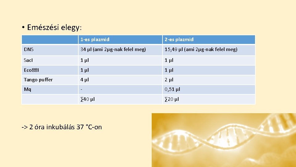  • Emészési elegy: 1 -es plazmid 2 -es plazmid DNS 34 µl (ami