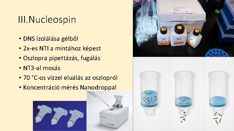 III. Nucleospin • DNS izolálása gélből • 2 x-es NTI a mintához képest •