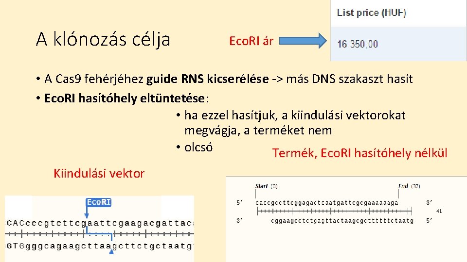 A klónozás célja Eco. RI ár • A Cas 9 fehérjéhez guide RNS kicserélése